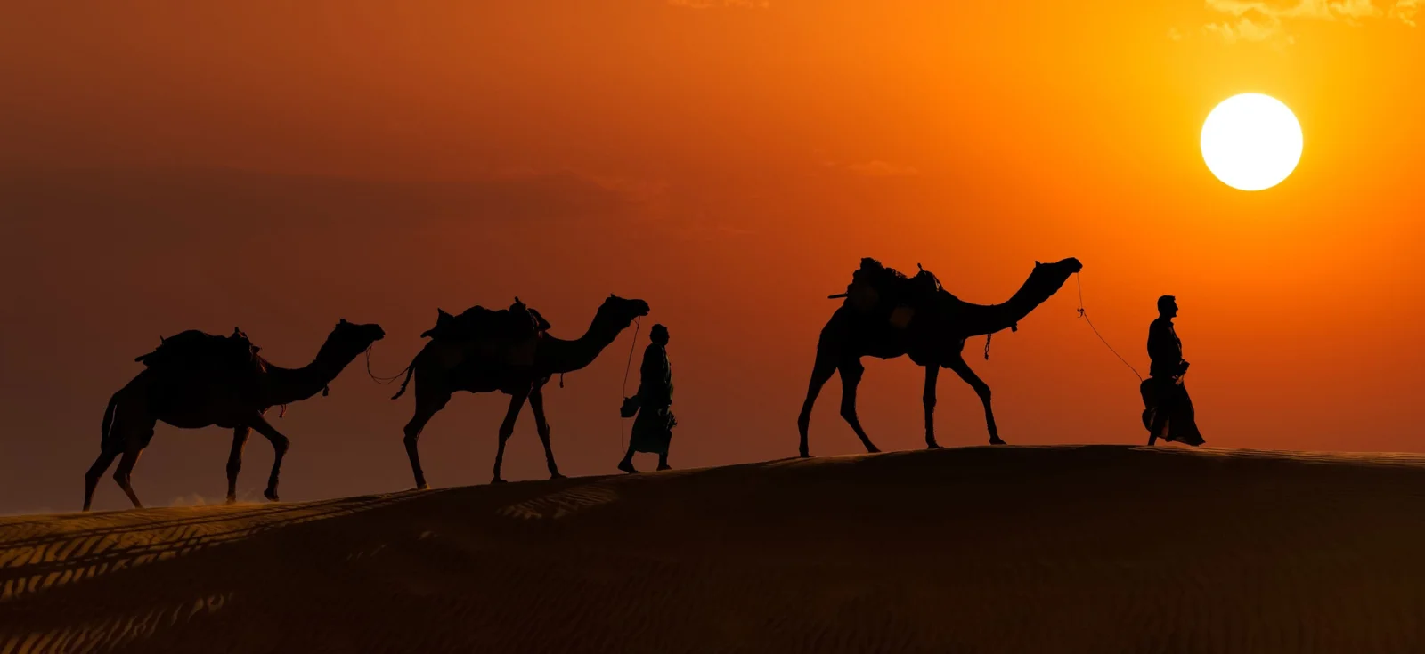 jaisalmer: gateway to india’s thar desert